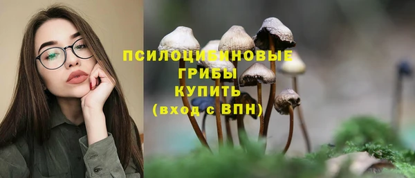 соль ск Козловка