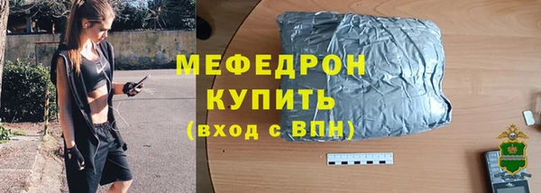 МДПВ Бородино